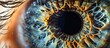 Detailed close-up view of an eye with a significantly dilated pupil, showcasing the intricacies of the iris and surrounding structures