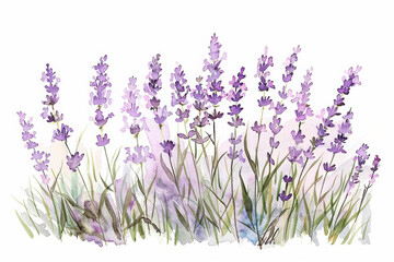 Wall Mural - Watercolor painting of a vibrant lavender field with a tranquil mountain backdrop, suitable for backgrounds, aromatherapy concepts, or natural spa-themed designs with copy space