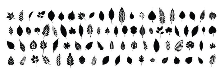 Big collection of leaves silhouettes. Hand drawn vector art.