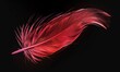 A single red feather stands out against a dark black background, creating a striking contrast