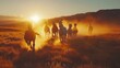 Wild horses running at sunset 