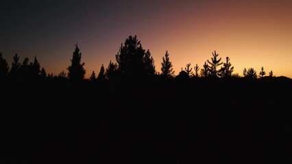 Sticker - Drone shot over forest silhouette trees against yellow sunset sky