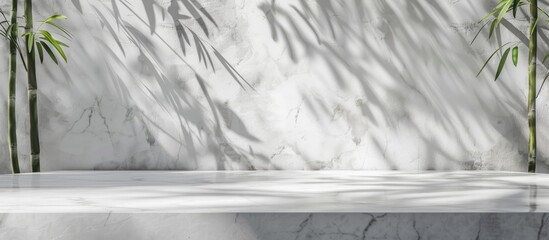 Poster - A wooden shelf displays a marble surface with a shadow of a bamboo tree on the grey wall. Tints of green and natural landscape create a freezing artistic touch