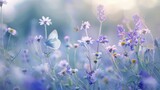 Fototapeta Lawenda - Beautiful wild flowers chamomile, purple wild peas, butterfly in morning haze in nature close-up macro. Landscape wide format, copy space, cool blue tones. Delightful pastoral airy artistic image.
