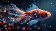 Magic gold fish isolated on dark background. Low poly modern illustration of a starry sky or Cosmos.