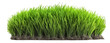 green grass turf isolated on white background