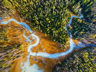 Wall Mural - a drone view of the river in the woods. an aerial view of the forest. winding river among the trees.