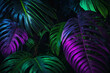 Tropical leaves, neon light, dark background