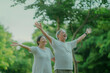 © BrightSpace - A couple of older people are standing in a park, smiling and waving at the camera. Scene is joyful and uplifting, as the couple appears to be enjoying their time together outdoors