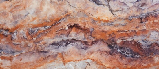 Wall Mural - A detailed closeup of a bedrock outcrop with a stunning marble texture, resembling a piece of art. The landscape painting features intricate patterns, perfect for depicting wildlife, plants, or fur