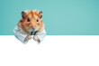 Veterinary concept. Hamster health care. Cute syrian hamster doctor isolated on blue background. High quality photo