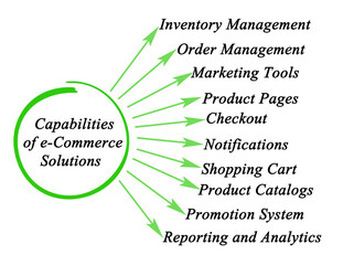 Wall Mural - Ten Capabilities of e-Commerce Solutions