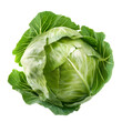 cabbage isolated on transparent background Generative Ai