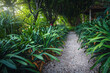 Gravel pathway with plants in the botanical garden, Menton, France