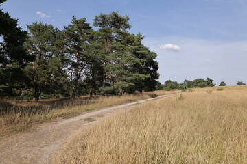 Poster - Blick auf die Naturlandschaft von Sandharlanden bei Abensberg in Bayern	