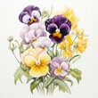 Watercolor pansy clipart in shades of purple, yellow, and white