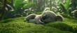  An image depicts a  bear resting atop verdant grass amidst a dense, verdant forest