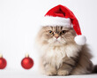 © Aleksandr - Christmas Cat background. Happy new year backdrop. Celebrating winter holidays card.