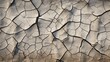 Dry ground cracks UHD wallpaper