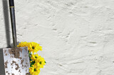 Fototapeta  - Spaten an einer Hauswand mit Frühlingsblumen #050324.05.3C