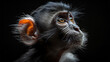 Portrait of a little monkey on dark background. 
