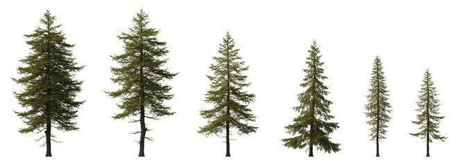 Larix decidua the European larch tree frontal set evergreen pinaceae needled tree isolated png medium and small on a transparent background premium cutout