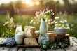 A variety of cheeses and a bottle of milk against the background of a meadow with daisies in the golden light of sunset. Concept: organic healthy food for a diet menu. Dairy products