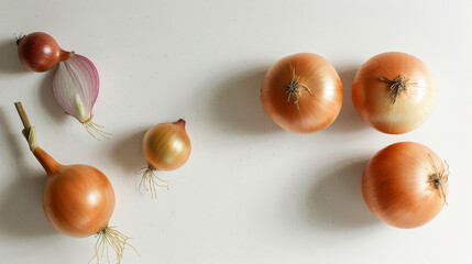 Poster - Fresh onions on a textured grey background with natural shadows.