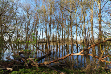 Poster - Loire river flood in Chécy village. Loire valley