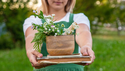 Wall Mural - A woman collects medicinal herbs and makes herbal tincture.