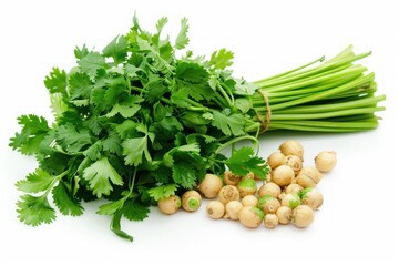 Coriander isolated on white background