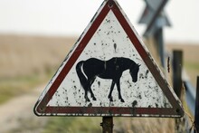 Safety Traffic Sign, Attention Horse