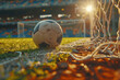 soccer ball rests on a field with sparkling dew, with the goalpost looming
