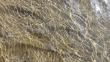 Fototapeta  - Water surface texture