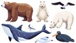Cute white bear cartoon, brown furred wolverine, big blue striped whale and flying albatross or seagull. Wild animals, mammals and birds, arctic polar bear.