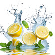Splashing water with lemon and mint on white background