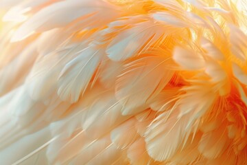 Poster - Detailed shot of bird feathers, ideal for nature themes