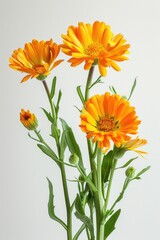 Poster - A detailed shot of a vase filled with colorful flowers. Suitable for various design projects