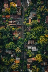 Poster - Aerial view of a city with abundant trees. Suitable for urban planning concepts