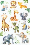 Fototapeta Pokój dzieciecy - Cute zoo creatures in random, playful setups, painted in watercolors on white