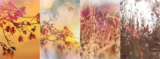 Canvas Print - Autumn collage