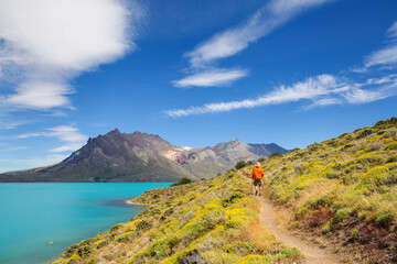 Wall Mural - Hike in Patagonia