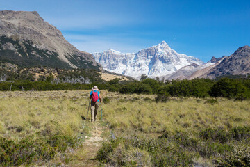 Wall Mural - Hike in Patagonia