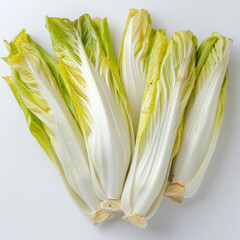 vegetable, endive, food, fresh, isolated, chicory, corn, green, healthy, plant, raw, endive, white, leaf, nutrition, diet, organic, zucchini, vegetarian, yellow, ingredient, flower, agriculture, cob, 