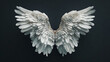 White angel wings contrast with black isolated background