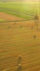 Poster - Aerial View Of Summer Hay Rolls Straw Field Landscape In Evening. Haystack, Hay Roll in Sunrise Time. Natural Agricultural Background Backdrop Harvest Season