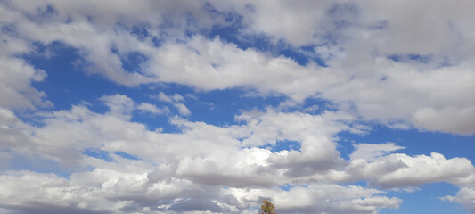 Canvas Print - sky and clouds