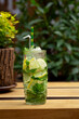 Cold refreshing coctail with lime and mint