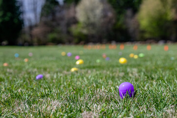 Wall Mural - easter egg hunt