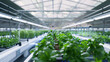 Futuristic Hydroponic Greenhouse with Automated Growing Systems